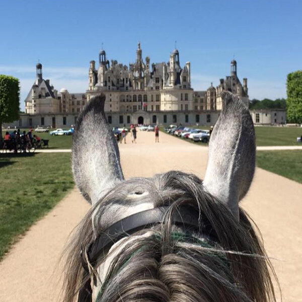Loire Castles equestrian holidays (France)