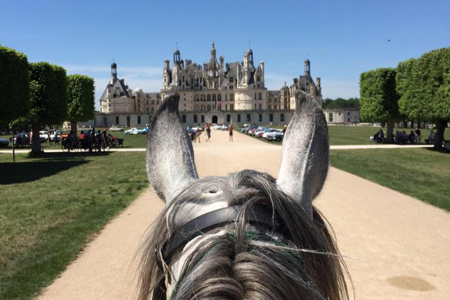 Loire Castles equestrian holidays (France)