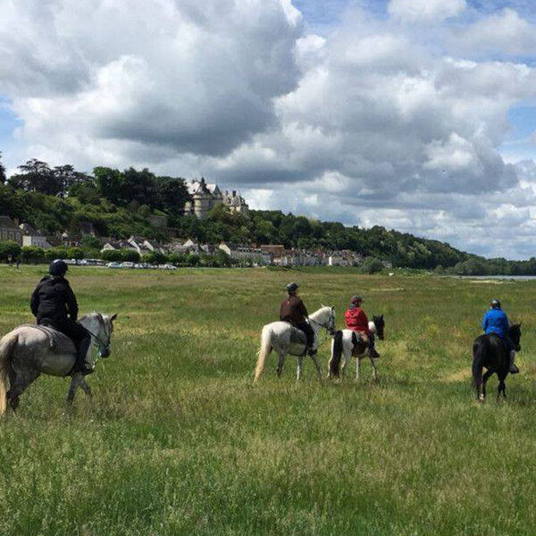 Loire Castles equestrian holidays (France)