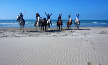 Equestrian holidays in Provence from Luberon to Camargue (France)
