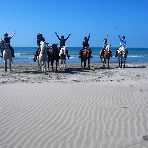 Equestrian holidays in Provence from Luberon to Camargue (France)