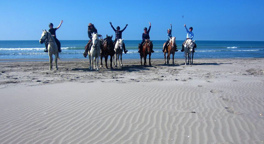 Equestrian holidays in Provence from Luberon to Camargue (France)