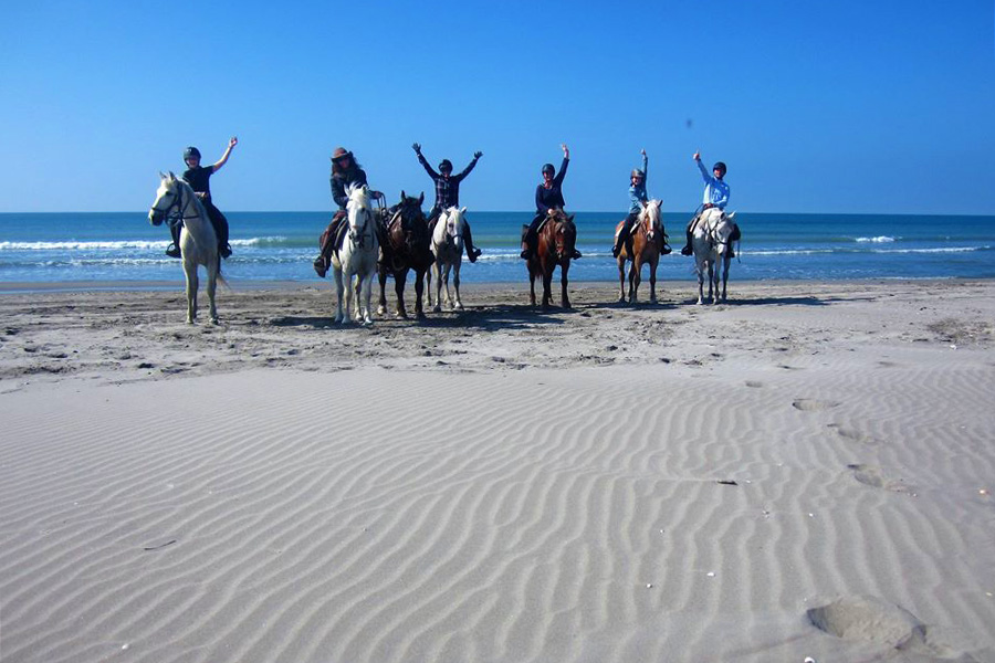 Equestrian holidays in Provence from Luberon to Camargue (France)