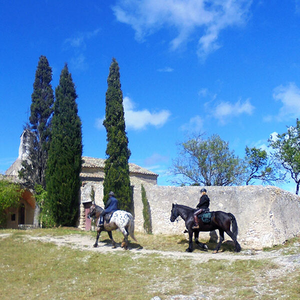 Equestrian holidays in Provence from Luberon to Camargue (France)