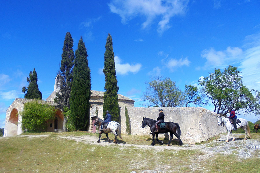 Equestrian holidays in Provence from Luberon to Camargue (France)