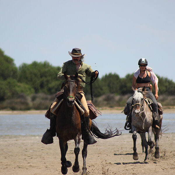 Equestrian holidays in Provence from Luberon to Camargue (France)