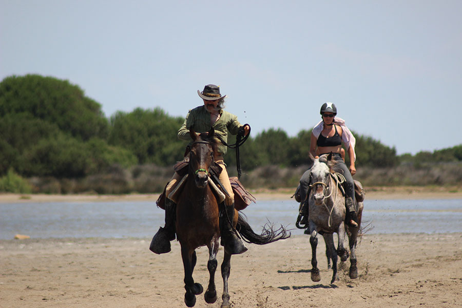 Equestrian holidays in Provence from Luberon to Camargue (France)
