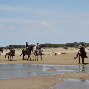 Equestrian holidays in Provence from Luberon to Camargue (France)