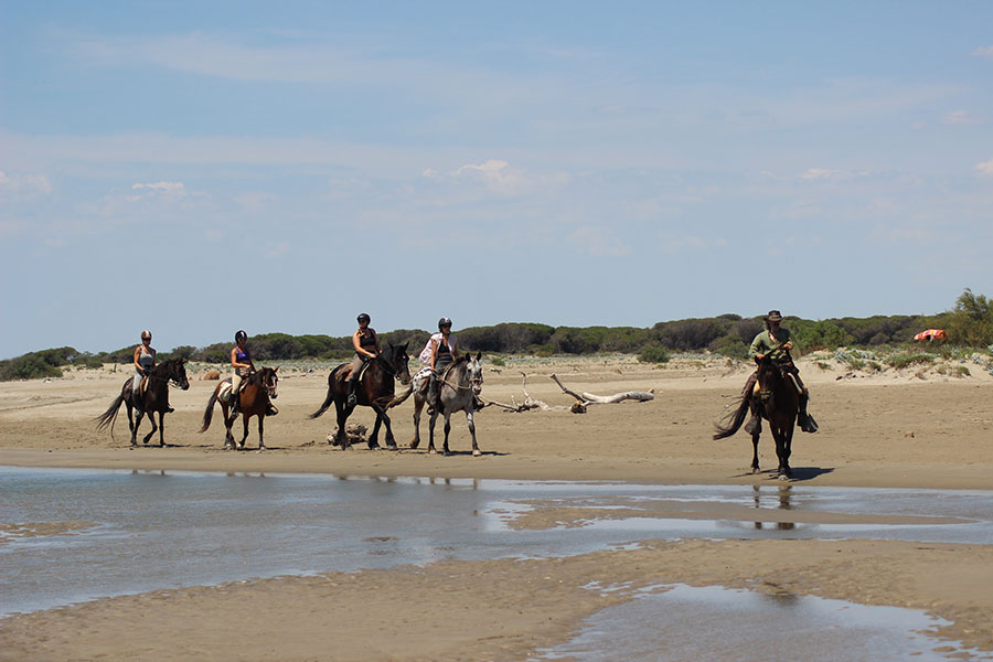Equestrian holidays in Provence from Luberon to Camargue (France)