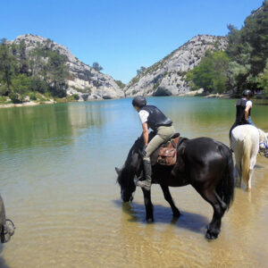 Equestrian holidays in Provence from Luberon to Camargue (France)
