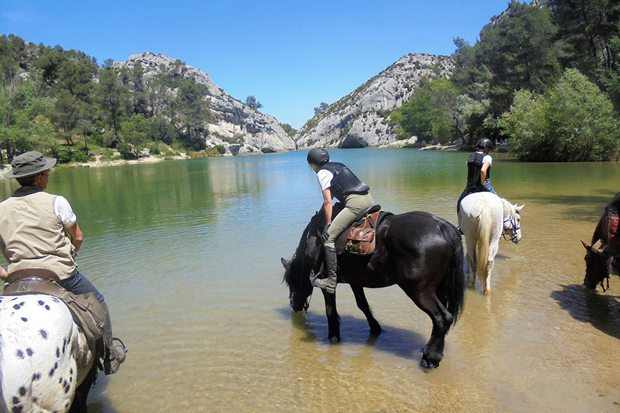 Equestrian holidays in Provence from Luberon to Camargue (France)