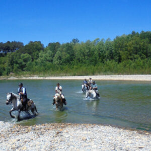 Equestrian holidays in Provence from Luberon to Camargue (France)