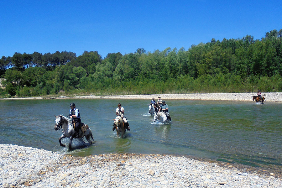 Equestrian holidays in Provence from Luberon to Camargue (France)