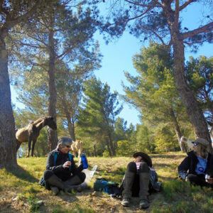 Equestrian holidays in Provence from Luberon to Camargue (France)