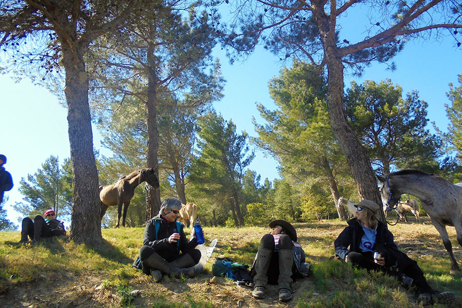 Equestrian holidays in Provence from Luberon to Camargue (France)