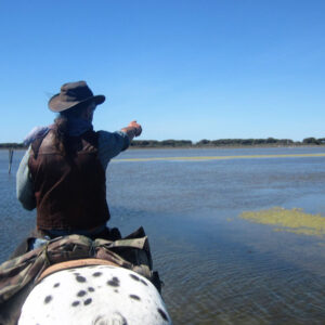 rando-cheval-aventure-voyage-france-alpilles-camargue-02