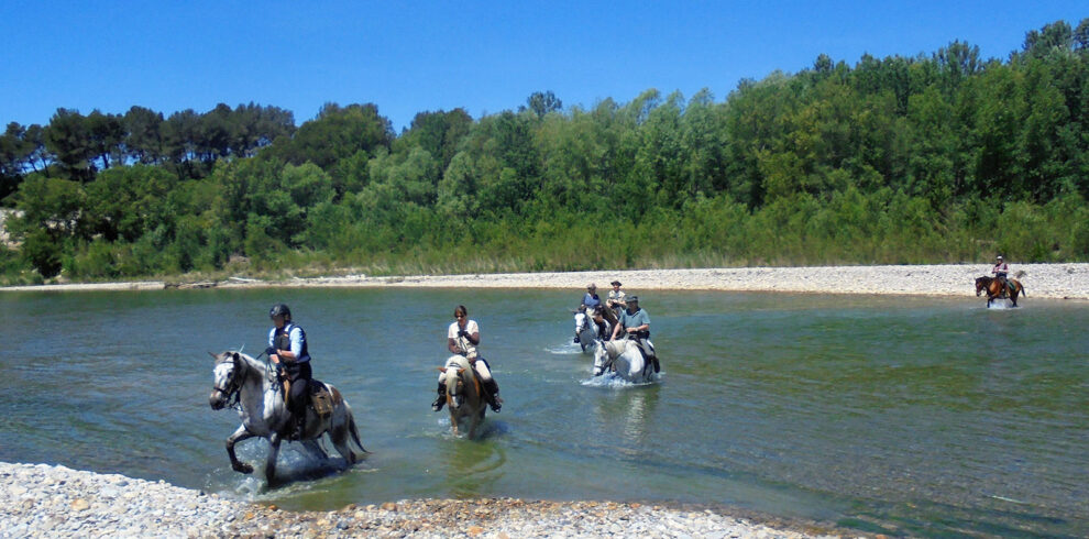 rando-cheval-aventure-voyage-france-alpilles-camargue-04