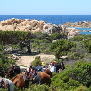 corsica-france-agriates-horse-ride-trail-trip-tour-horseback-02