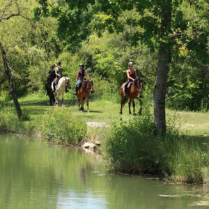 france-sud-ouest-lot-rando-cheval-confort-randonnee-sejour-equestre-05