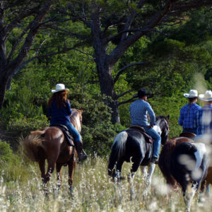 provence-france-rando-cheval-western-alpilles-randonnee-equestre-02