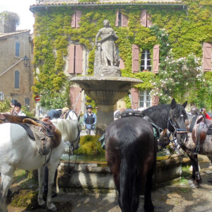 rando-cheval-aventure-voyage-france-luberon-provence-cigales-02