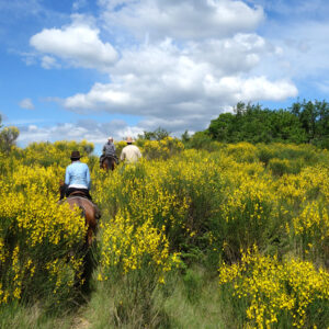 rando-cheval-aventure-voyage-france-luberon-provence-cigales-03