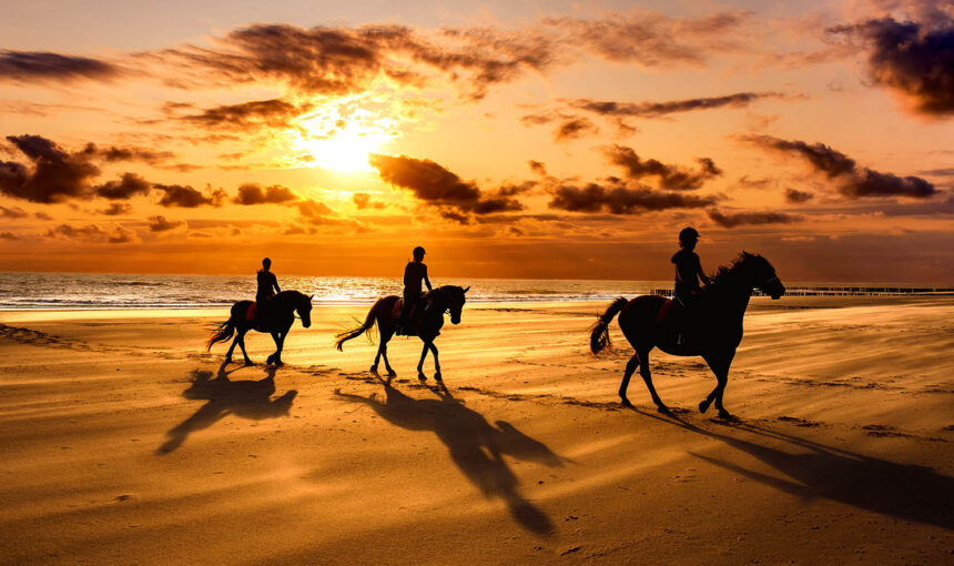 Climate in France – What horse travelers should expect