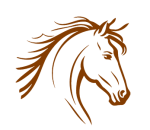 Tete-cheval-brun-clair